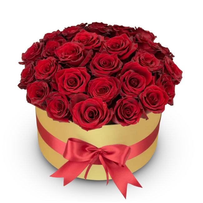 Box červených růží